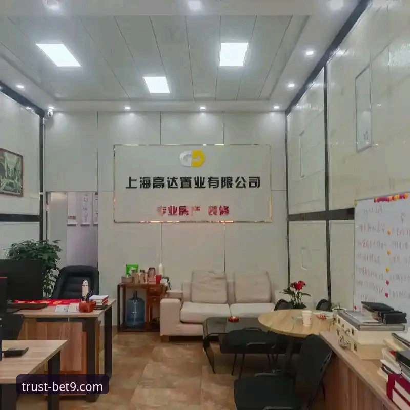 BET9官方网站最新动态：十年信誉平台用户分享畅通登录与稳定体验的真实心得