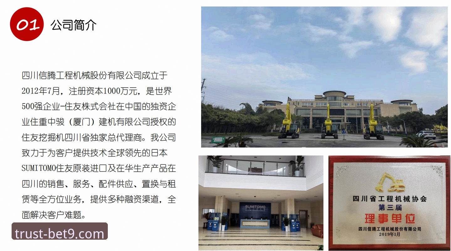 BET9官方推荐 BET9官方推荐 vs 普通平台:十年信誉与创新体验的全面对比